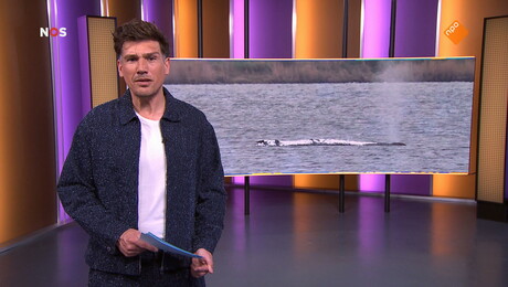 Het NOS Jeugdjournaal | NOS Jeugdjournaal